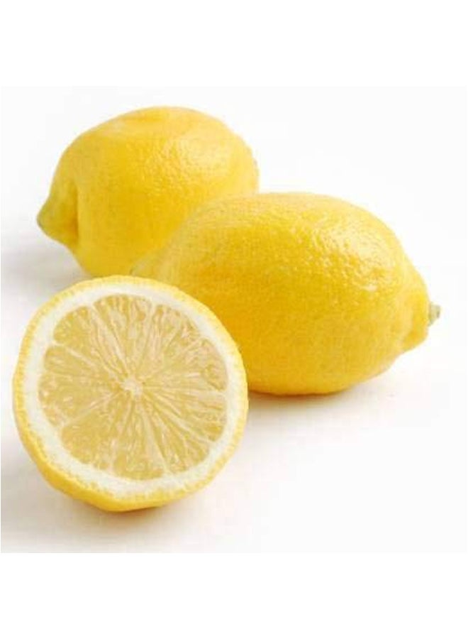 Falcon Lemon Liquid Dishwasher Yellow - Image 3