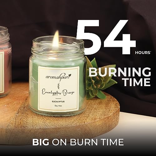 Aromahpure Scented Candle (54x 2Hours) |Eucalyptus Breeze- Eucalyptus, Coffee Delight- Coffee Scented Candle|100% Soy Wax, Smokeless Candle|Pack of 2| Long Lasting Aroma Candles|Home D�cor - Image 5