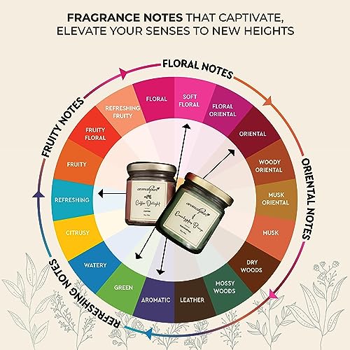 Aromahpure Scented Candle (54x 2Hours) |Eucalyptus Breeze- Eucalyptus, Coffee Delight- Coffee Scented Candle|100% Soy Wax, Smokeless Candle|Pack of 2| Long Lasting Aroma Candles|Home D�cor - Image 3