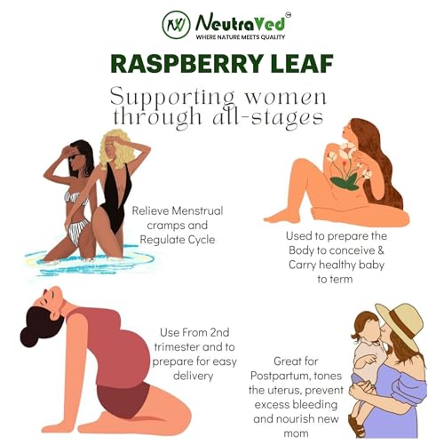 NeutraVed Raspberry Tea | Organic Raspberry Leaf Tea Collected from the Himalayan Belt Forest | Support the Female System - 50g - Image 4