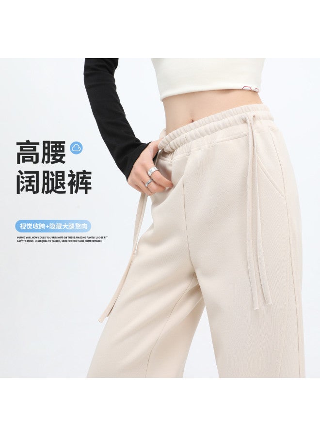 Hstyle Double Waistband High-waisted Wide-leg Pants Women's 2025 Spring Collection Versatile Loose Drapey Casual Trousers - Image 2