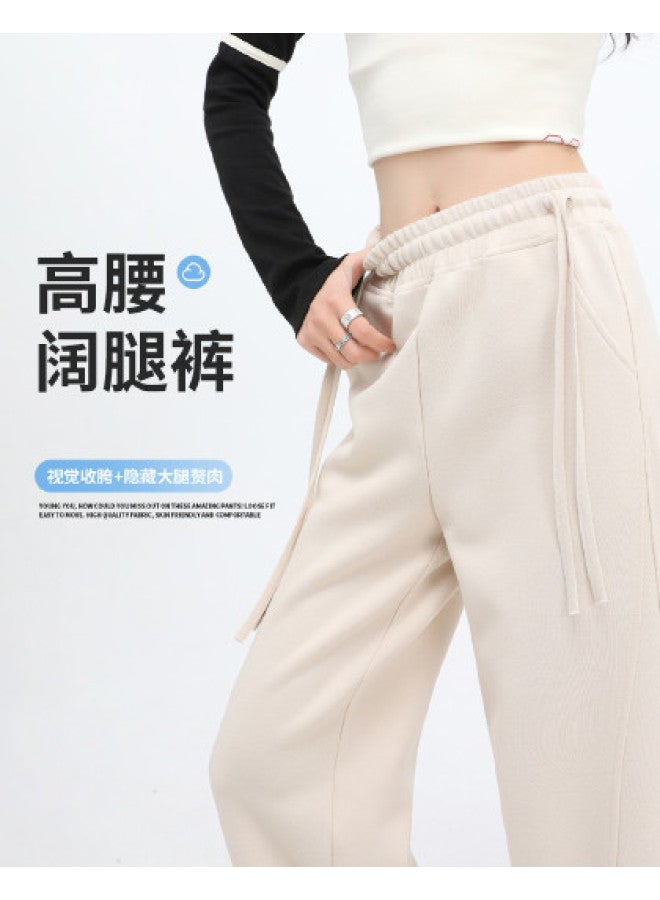 Hstyle Double Waistband High-waisted Wide-leg Pants Women's 2025 Spring Collection Versatile Loose Drapey Casual Trousers - Image 1
