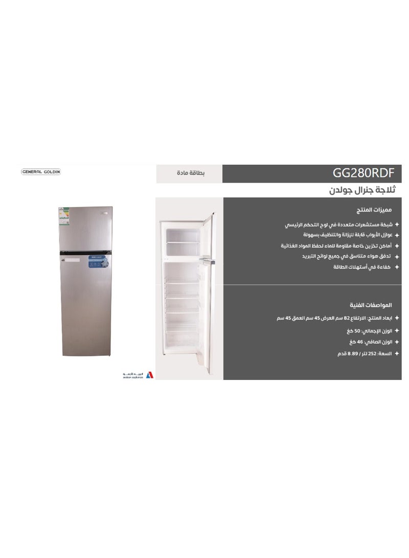 جنرال جولدن ثلاجة جنرال جولدن 252 لتر 8.9 قدم مكعب، عاكس نو فروست بدون ضوضاء، سعة قصوى، فضي - Image 4