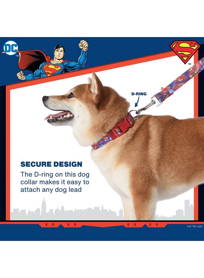 DC Comics DC Comics Superman Dog Collar, Large | Officially Licensed DC Comics Superman Logo Dog Collar | Large Dog Collar for Large Dogs with D-Ring, Cute Dog Apparel & Accessories for Pets - Image 3