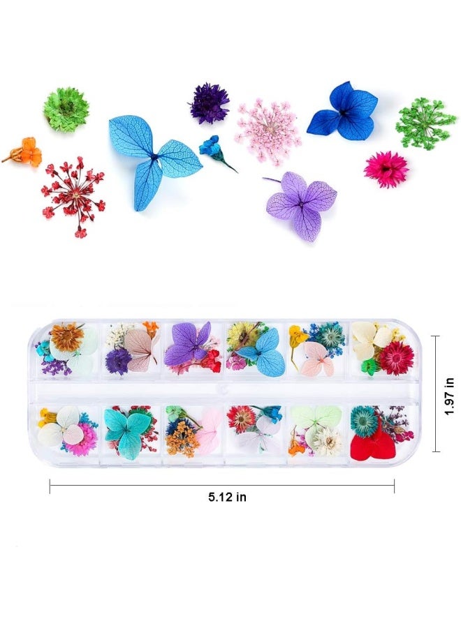 iFancer 108 Pcs Dried Flowers for Resin Nail Art 62 Colors 3D Dry Flowers for Nails 2 Boxes Small Tiny Dried Flowers for Nail Art Little Pressed Real Natural Flower Nail Art Design Decoration Supplies - Image 5