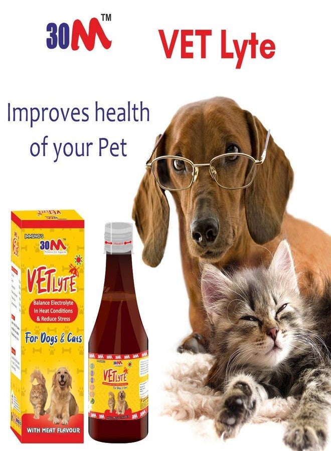 30M Pet Electrolyte Liquid Supplement for Dogs, Pet Oral Medication for Instant Energy, Pet Oral Rehydration Syrup for Dogs, Puppies and Cats - VETLyte Syrup (1 x 200 ml) - Image 5