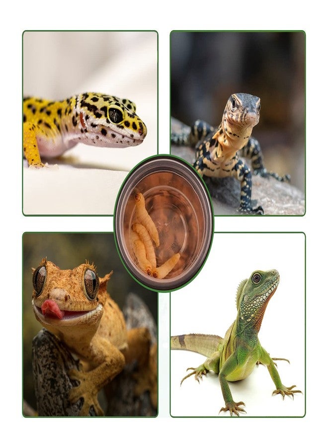 YOJOR 0.5oz Crested Gecko Food and Water Feeding Cups, Reptile Feeder Bowls, Plastic Replacement Food Dish for Lizard and Other Small Pet Ledge Accessories (100 pcs) - Image 3
