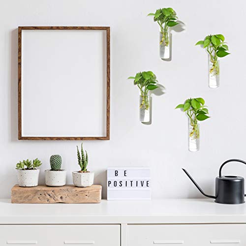 Vumdua 4 Pack Glass Planters, Clear, 5.9 in H x 1.85 in D, Suitable for Most Water Plants, Perfect for DIY Propagation Station, Easy to Install, Elegant and Functional - Image 3