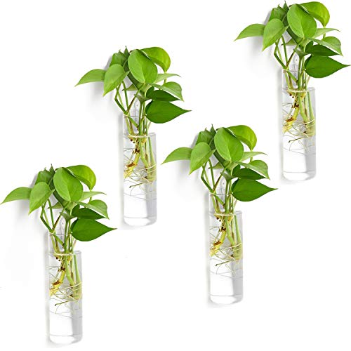 Vumdua 4 Pack Glass Planters, Clear, 5.9 in H x 1.85 in D, Suitable for Most Water Plants, Perfect for DIY Propagation Station, Easy to Install, Elegant and Functional - Image 1