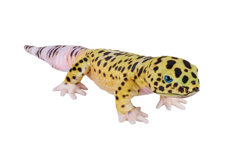 Wild Republic Living Earth Leopard Gecko  Stuffed Animal  24 inch  Plush Toy  Fill is Spun Recycled Water Bottles