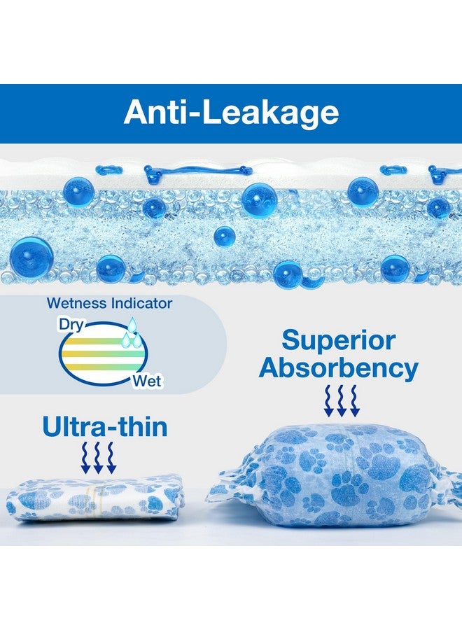 دونو حفاضات الكلاب الذكورية، أغطية الكلاب الذكورية التي تستخدم لمرة واحدة، 40 قطعة، حفاضات الكلاب، مؤشر البلل، أغطية بطن الكلاب المقاومة للتسرب، تقنية الجل سريعة الجفاف، حفاضات الجراء من أجل سلس البول المثير، مقاس صغير - Image 4