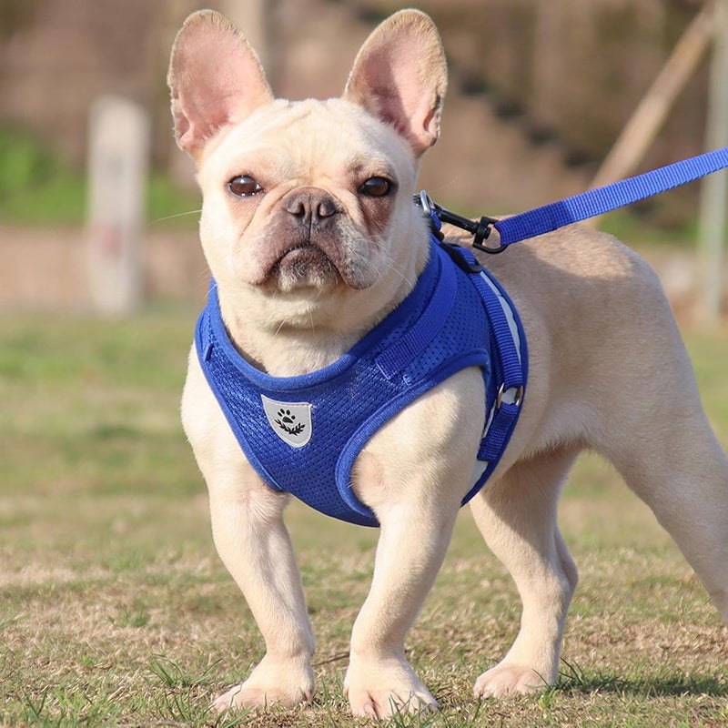 Reflective Dog Harness Breathable Net Vest with Rope for Small Secure Design Pet Outdoor Walking Gear Adjustable Cooling Vest Harness with Reflective Straps - Image 2
