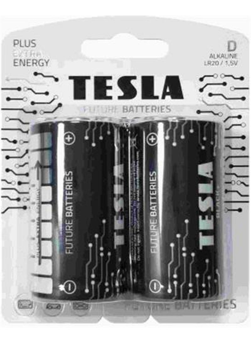Tesla D Type Battery Black+ 2 Pcs - Image 1