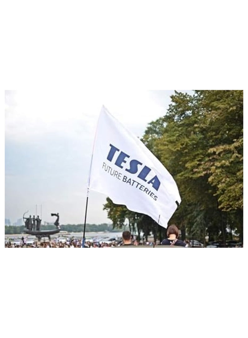 Tesla D Type Battery Black+ 2 Pcs - Image 3