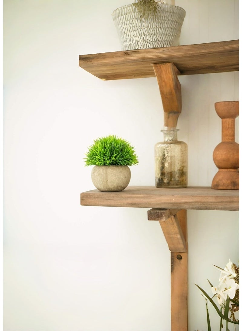 JoyousSto Charming Small Fake Plant with Pot, Mini Artificial Topiary Ball Greenery, No-Water Required Faux Grass Plant in Round Paper-Mache Pot for Shelf Windowsill Bathroom Kitchen Decor - Image 2