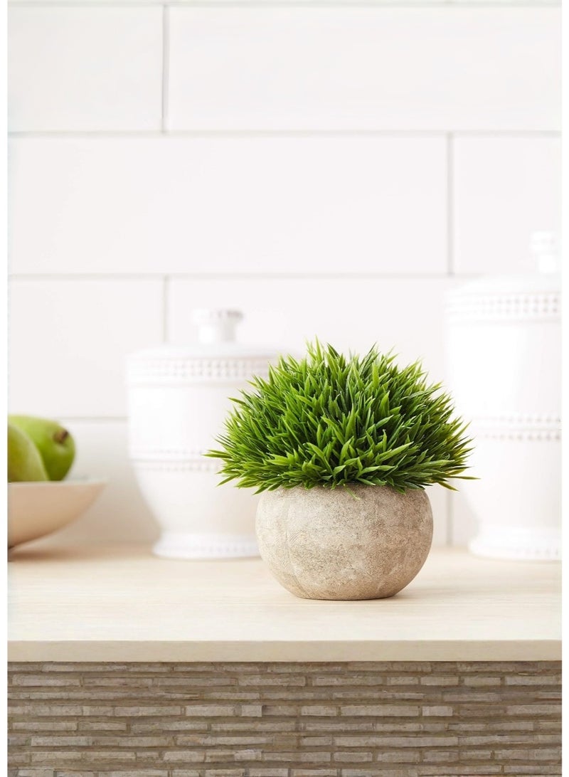 JoyousSto Charming Small Fake Plant with Pot, Mini Artificial Topiary Ball Greenery, No-Water Required Faux Grass Plant in Round Paper-Mache Pot for Shelf Windowsill Bathroom Kitchen Decor - Image 4