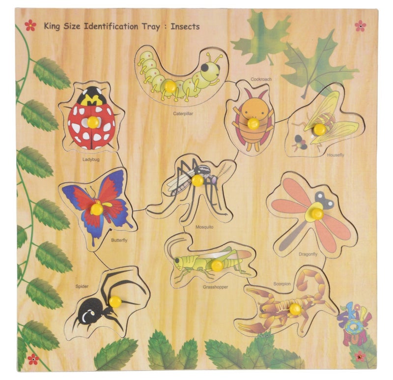 Skillofun - SFS-44J Wooden Kingsize Identification Tray Insects with Knobs for Kid, Multi Color - Image 1