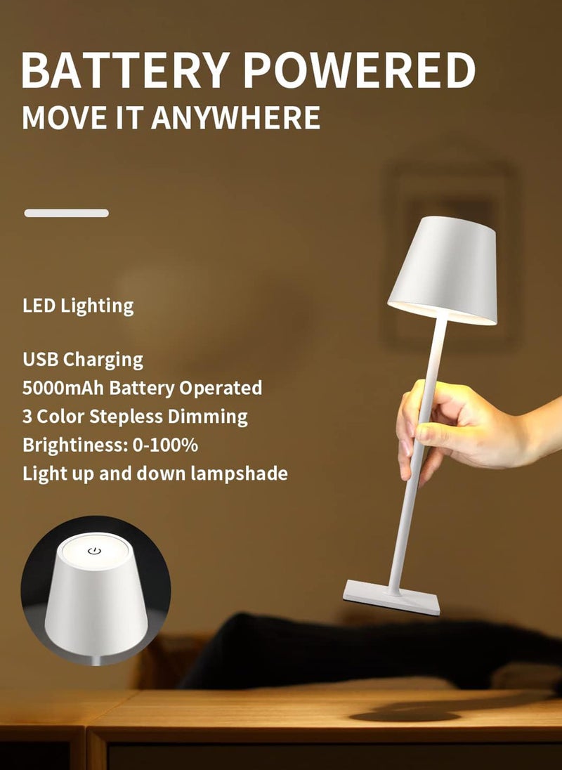 ون لايت - مصباح طاولة LED قابل لإعادة الشحن بارتفاع قدم، مصباح جو، إضاءة ليلية، إضاءة ثلاثية الألوان، واجهة Type-C - Image 1