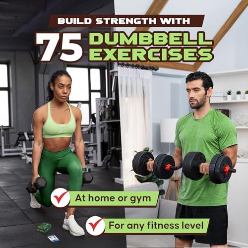 Zinsk 75 Dumbbell Workout Cards – 3.5” x 2.5” Full Body Weight Training Exercise Deck – At-Home Fitness Guide for Men and Women – Get Stronger With 12 Pre-Made Strength Workouts - Image 2