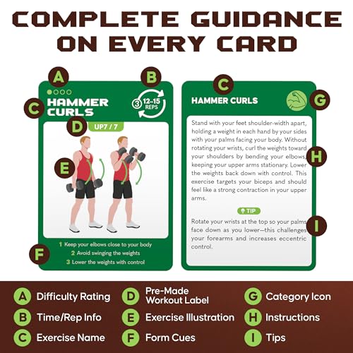 Zinsk 75 Dumbbell Workout Cards – 3.5” x 2.5” Full Body Weight Training Exercise Deck – At-Home Fitness Guide for Men and Women – Get Stronger With 12 Pre-Made Strength Workouts - Image 4