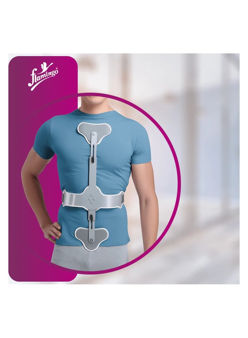 Flamingo Hyper Extension Brace Short