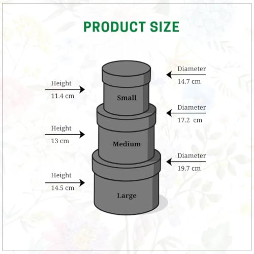 Oasis Pack of 3 Premium Round Gift & Flower Hamper Boxes With Scalloped Lid | Classic Bouquet Box for Flower Arrangements & Gift Hampers | Decorative Gift Packaging Box With Waterproof Liner - Baby Blue & Grey - Image 3