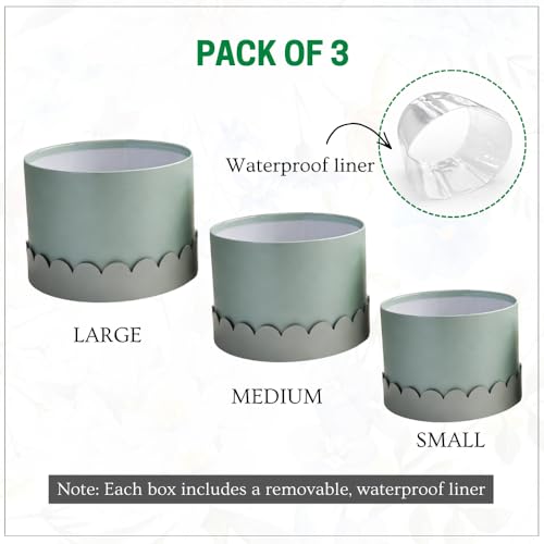 Oasis Pack of 3 Premium Round Gift & Flower Hamper Boxes With Scalloped Lid | Classic Bouquet Box for Flower Arrangements & Gift Hampers | Decorative Gift Packaging Box With Waterproof Liner - Baby Blue & Grey - Image 2