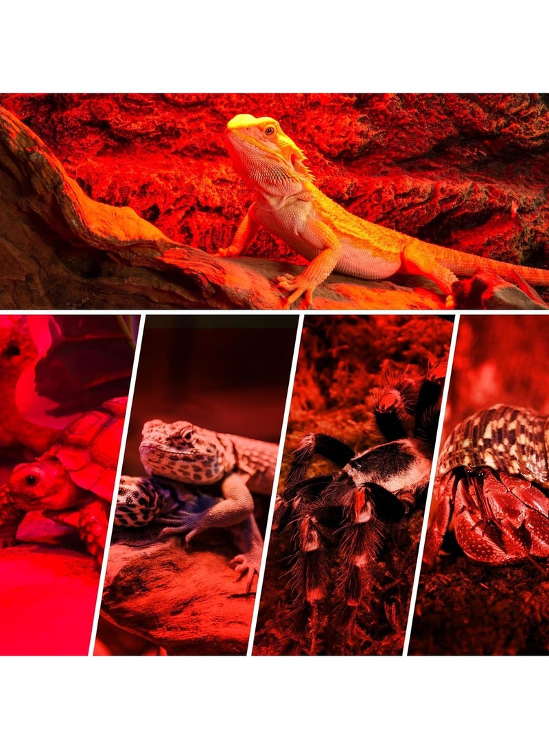 REPTIZOO REPTI ZOO Reptile 50W Infrared Heat Lamp Bulb,1 Pack Infrared Basking Spot Light for Reptiles & Amphibian,Bearded Dragon,Leopard Gecko,Turtle,Lizard,Chickens | Pet Brooders Night Heat Lamp (IFL50)  - Image 4