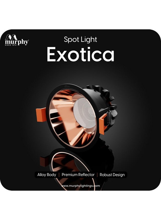 Murphy 12W Black Body Rose Gold Finish COB Spot Down Light : Warm White, Pack of 6 - Image 2