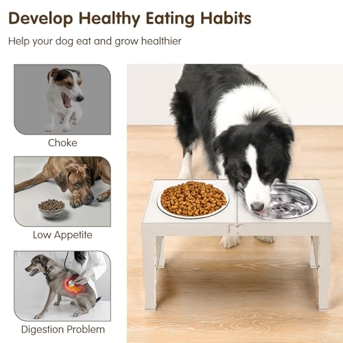 XIAZ Elevated Dog Bowls Large Breed Raised Dogs Bowl Stand Large/Medium Sized Dog Stainless Steel Food Water Bowl Stands 5 Heights Adjustable 9/11/12/14in Pet Feeder Dish Station - Image 4
