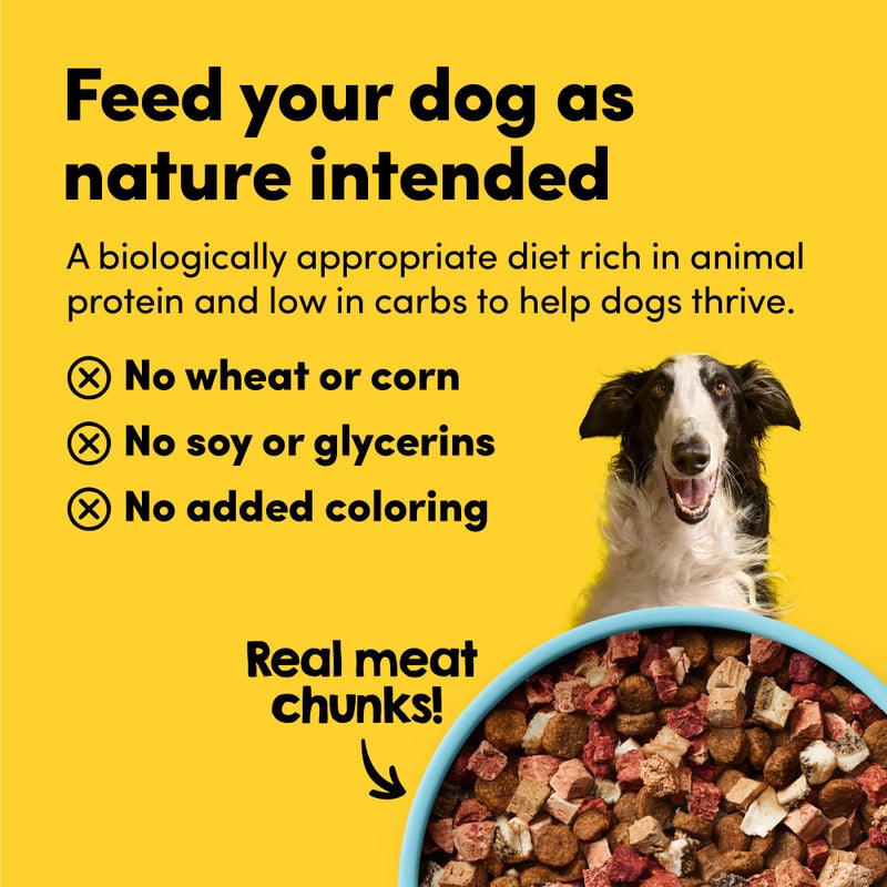 Animals Like Us Raw Freeze Dried Dog Food RawMix50 Premium Grass-Fed Beef Recipe, Protein Rich, Includes Kibble, Non-GMO, No Wheat or Corn, 12 oz - Image 5