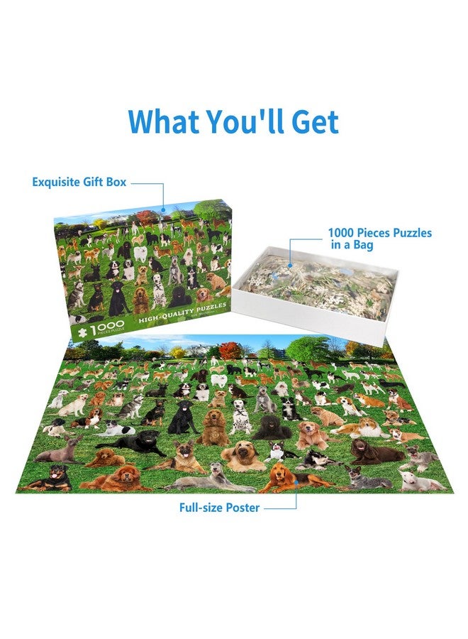 CHengQiSM 1000 Piece Puzzle For Adults 101 Lawn Puppies Puzzles For Adults 1000 Pieces Dogs Park Jigsaw Puzzles 1000 Pieces For Adults 101 Puppy Group Photo Puzzle 1000 Pieces, 1000 Piece Puzzle Dog 1000 Puzzle - Image 4