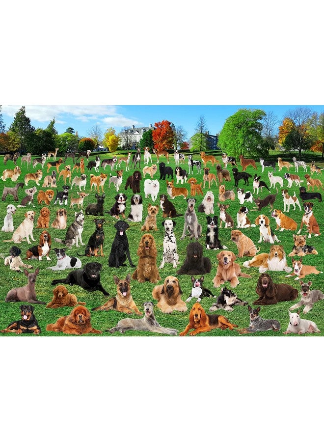 CHengQiSM 1000 Piece Puzzle For Adults 101 Lawn Puppies Puzzles For Adults 1000 Pieces Dogs Park Jigsaw Puzzles 1000 Pieces For Adults 101 Puppy Group Photo Puzzle 1000 Pieces, 1000 Piece Puzzle Dog 1000 Puzzle - Image 1