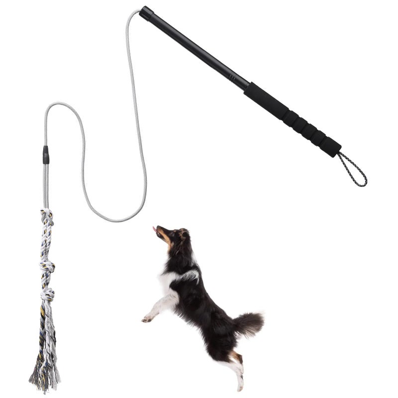 ABtool Flirt Pole for Small Medium Dogs,Interactive Chase and Tug of War Outdoor Dog Toys,Heavy Duty Dog Teaser Wand Chase Toys with Rope,Durable Flirt Stick Pole for Dogs Outside Agility Exercise & Training - Image 1