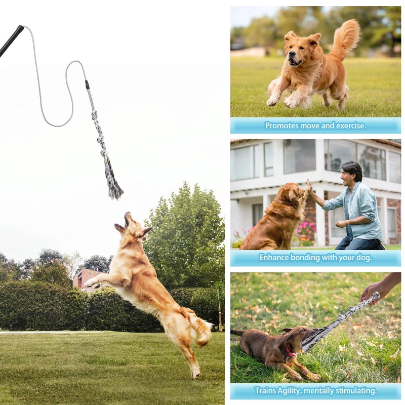 ABtool Flirt Pole for Small Medium Dogs,Interactive Chase and Tug of War Outdoor Dog Toys,Heavy Duty Dog Teaser Wand Chase Toys with Rope,Durable Flirt Stick Pole for Dogs Outside Agility Exercise & Training - Image 3