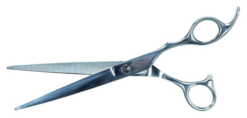 Trixie Professional Trimming Scissors, Stainless Steel Pet Grooming Scissors, Used for Shortening and Shaping The Fur Length - 20cm - Image 1