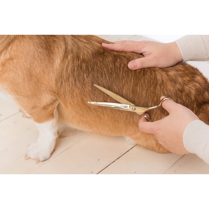 Trixie Professional Trimming Scissors, Stainless Steel Pet Grooming Scissors, Used for Shortening and Shaping The Fur Length - 20cm - Image 3