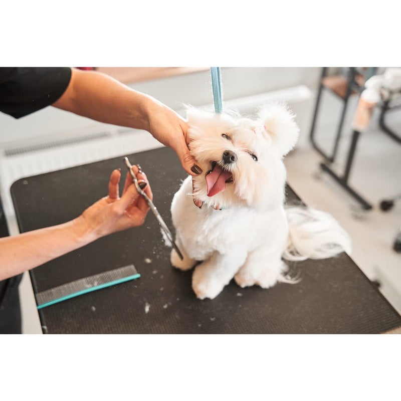 Trixie Professional Trimming Scissors, Stainless Steel Pet Grooming Scissors, Used for Shortening and Shaping The Fur Length - 20cm - Image 4