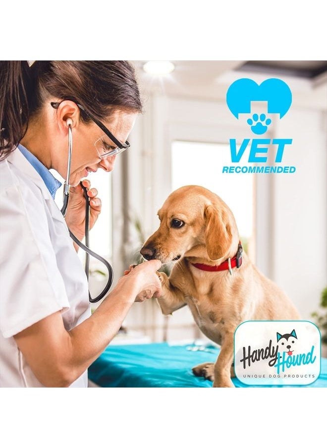 Handy Hound - SnoutScreen - All-Natural Organic Vet-Recommended Dog Nose balm and Paw Balm with Natural Sunscreen - Made in the USA Protect Your Dog from Harmful UVA/UVB Rays - 2 oz - Image 1
