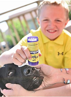 SnoutScreen - All-Natural Organic Vet-Recommended Dog Nose balm and Paw Balm with Natural Sunscreen - Made in the USA Protect Your Dog from Harmful UVA/UVB Rays - 2 oz