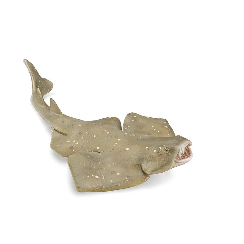 Collecta - Angel Shark - 88999