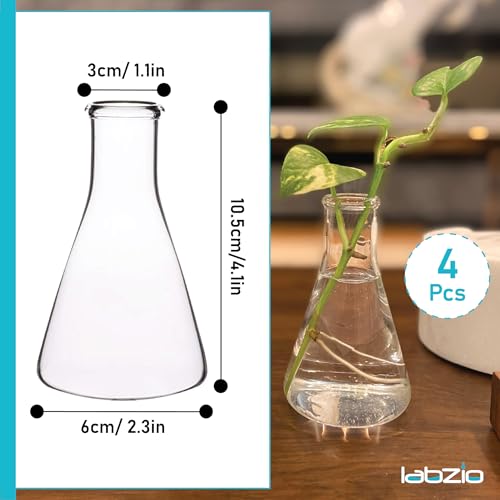 LABZIO Elegant Glass Flower Vase Set of 4 (100ml) | Decorative Mini Shot Flask Vases for Home, Office & Cafes | Modern Tabletop Decor for Floral Arrangements | Stylish Diwali Gift & Festive Decoration - Image 2