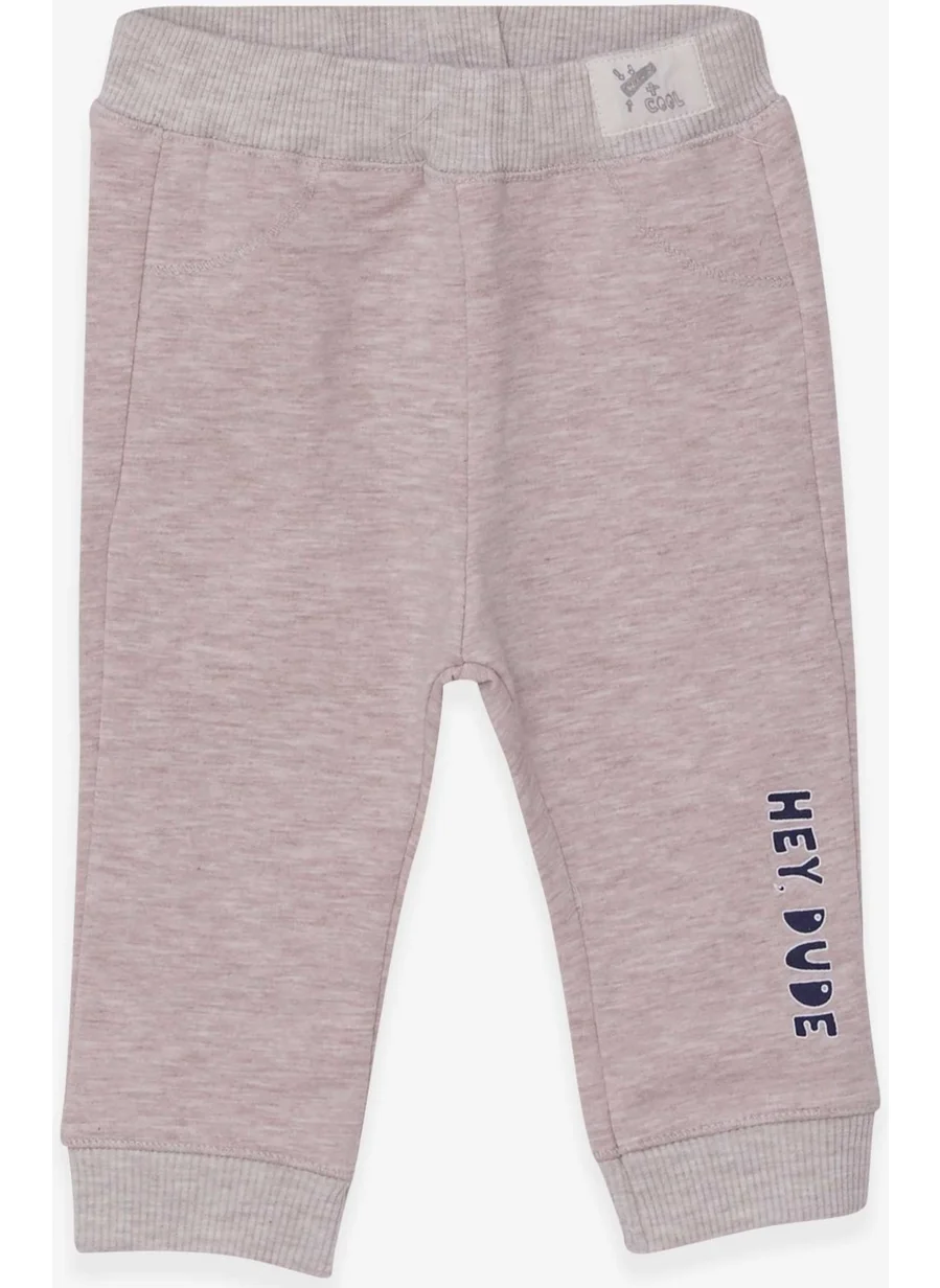 Breeze Baby Boy Sweatpants Printed Beige Melange (9 Months-3 Years)