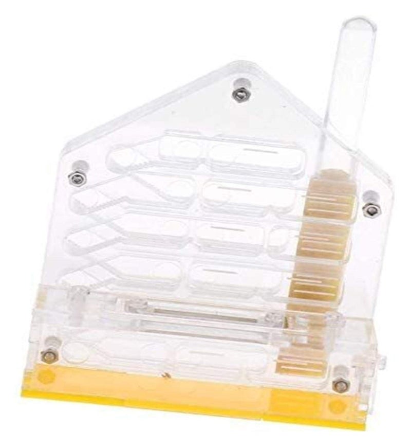 Clear Acrylic Ant Farm Habitat with Feeding Area Watch Ants Dig Tunnels - Image 2