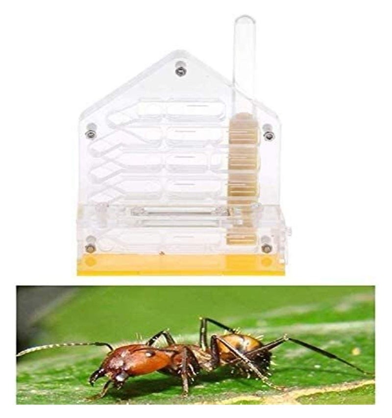 Clear Acrylic Ant Farm Habitat with Feeding Area Watch Ants Dig Tunnels - Image 5