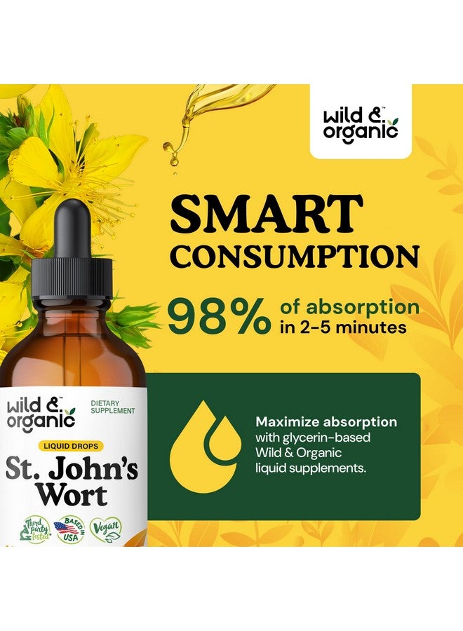 Wild & Organic St Johns Wort Tincture - Mood Support - Calming St John's Wort Supplement - Hypericum Perforatum Herbal Liquid Drops - Vegan, Sugar & Alcohol Free - 4 fl oz - Image 4