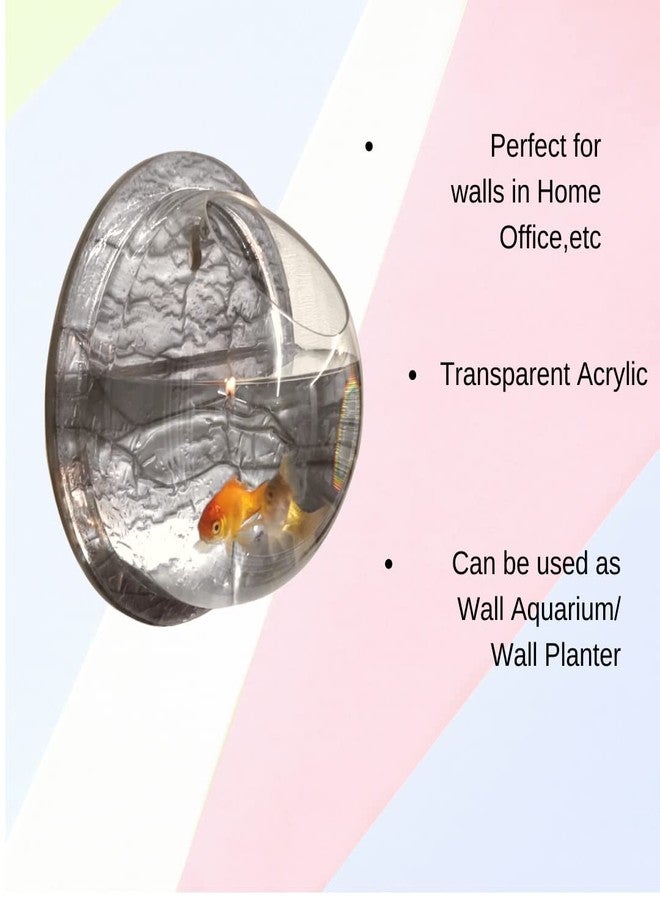 Petcrux Premium Acrylic Wall Mounted Aquarium Rust Resistant Fish Bowl/Wall Planter for Home Decor (6 inches, Steel Grey) - Image 5