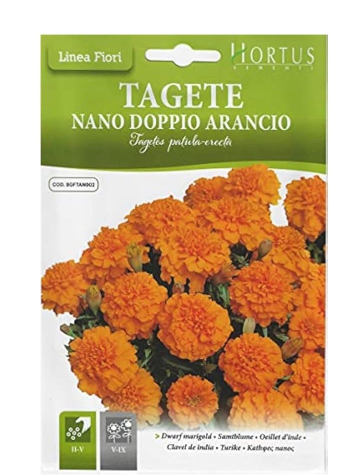 Hortus Dwarf Marigold (Tagete Nano Doppio Arancio) Premium Quality Seeds (Made in Italy) by Hortus Sementi