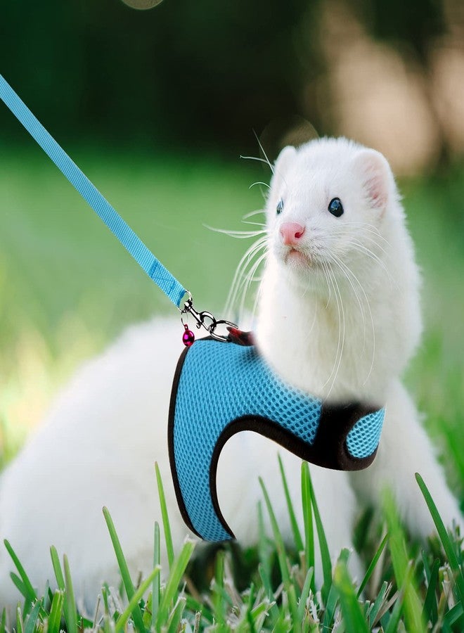Rypet Small Animal Harness and Leash - Soft Mesh Small Pet Harness with Safe Bell, No Pull Comfort Padded Vest for Small Pet Blue S - Image 4