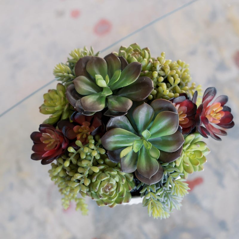CG Hunter Round Faux Succulent Arrangement, 12" Premium Artificial Indoor Plant Enhances Interior Design, Display on any Surface in Your Home Adding an Inviting Touch of Nature, White Planter Pot Included - Image 3